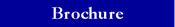 Brochure Button